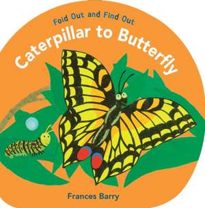 Caterpillar to Butterfly: Fold Out and Find Out de Frances Barry