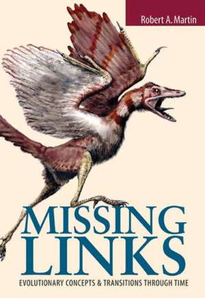 Missing Links de Robert A. Martin