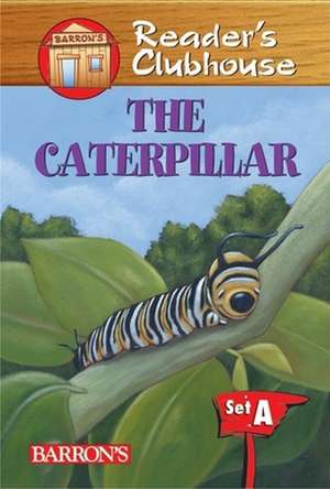 The Caterpillar de Judy Kentor Schmauss