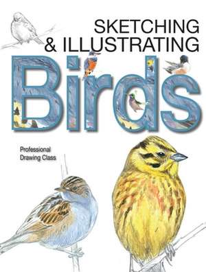 Sketching & Illustrating Birds: Professional Drawing Class de Juan Varela