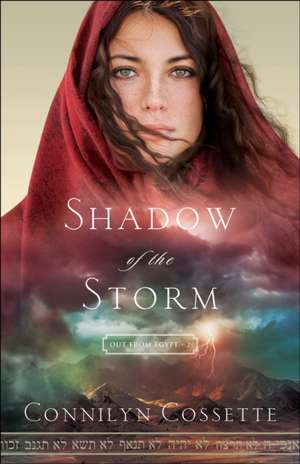 Shadow of the Storm de Connilyn Cossette