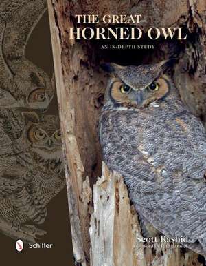 The Great Horned Owl: An In-Depth Study de Scott Rashid