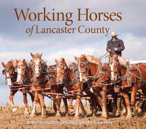 Working Horses of Lancaster County de Beth Oberholtzer