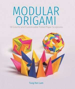 Modular Origami: 18 Colorful and Customizable Folded Paper Sculptures de Tung Ken Lam