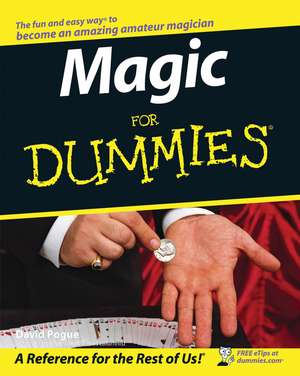 Magic For Dummies de D Pogue