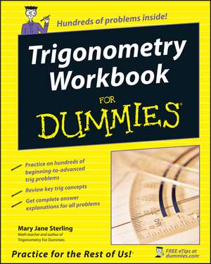 Trigonometry Workbook For Dummies de MJ Sterling