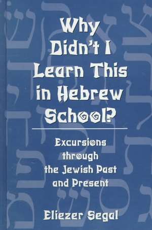 Why Didn't I Learn This in Hebrew School? de Eliezer Segal