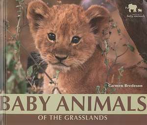 Baby Animals of the Grasslands de Carmen Bredeson