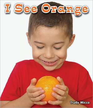 I See Orange de Trudy Micco