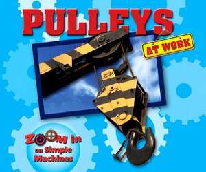 Pulleys at Work de Dawn Lamachia