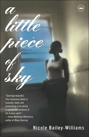 A Little Piece of Sky de Nicole Bailey-Williams