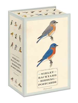 Sibley Backyard Birding Postcards: 100 Postcards de David Sibley