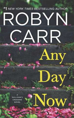 Any Day Now de Robyn Carr