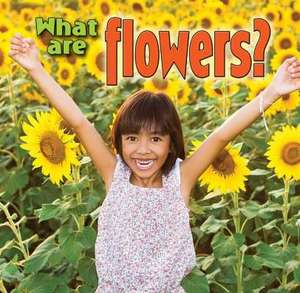 What Are Flowers? de Kelley MacAulay