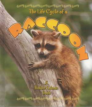 The Life Cycle of a Raccoon de Bobbie Kalman