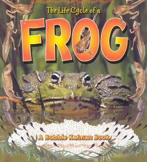 The Life Cycle of a Frog de Kathryn Smithyman