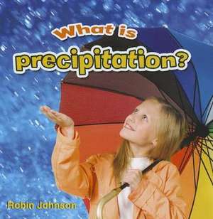 What Is Precipitation?: The Stanley Cup de Robin Johnson