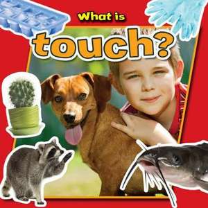 What Is Touch? de Molly Aloian