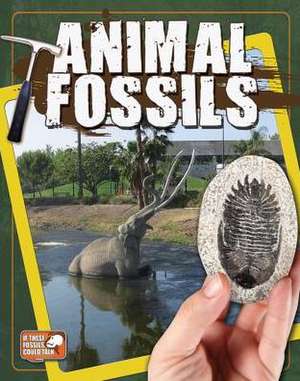 Animal Fossils de Natalie Hyde