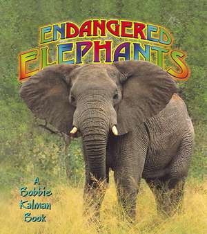 Endangered Elephants de Bobbie Kalman