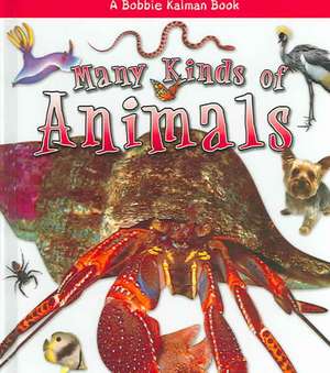 Many Kinds of Animals de Molly Aloian