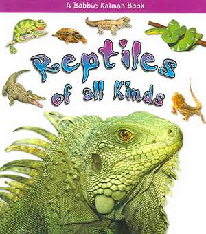 Reptiles of All Kinds de Kelley MacAulay