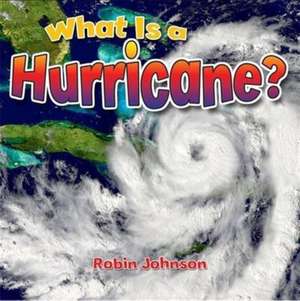 What Is a Hurricane?: Spanish Invader of Mexico de Megan Kopp