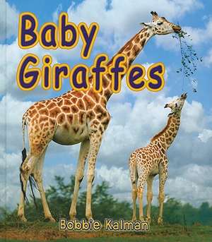 Baby Giraffes de Bobbie Kalman