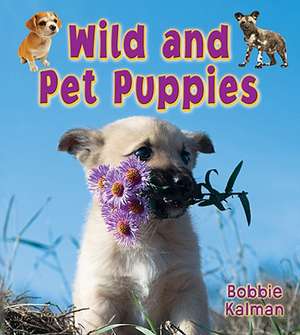 Wild and Pet Puppies de Bobbie Kalman