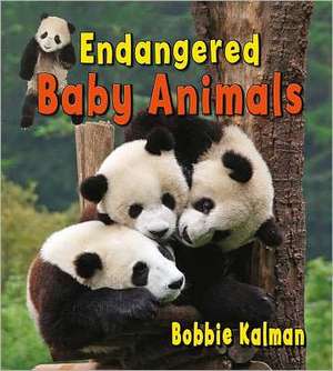 Endangered Baby Animals de Bobbie Kalman