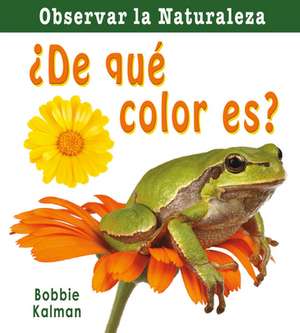 de Que Color Es? = What Color Is It? de Bobbie Kalman