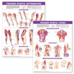 Trigger Point Chart Set: Torso & Extremities Paper