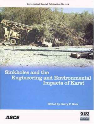 Sinkholes and the Engineering and Environmental Impacts of Karst