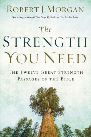 The Strength You Need: The Twelve Great Strength Passages of the Bible de Robert J. Morgan