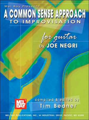 A Common Sense Approach to Improvisation for Guitar de Joe Negri