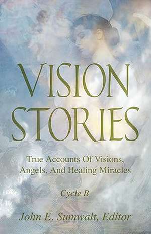 Vision Stories, Cycle B de John E. Sumwalt