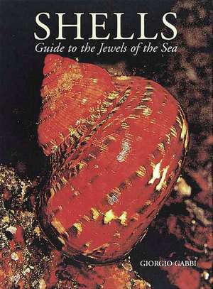 Shells: Guide to the Jewels of the Sea de Giorgio Gabbi