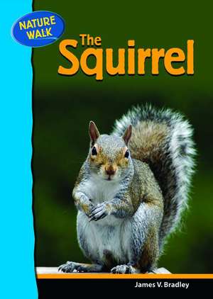 The Squirrel de James V. Bradley