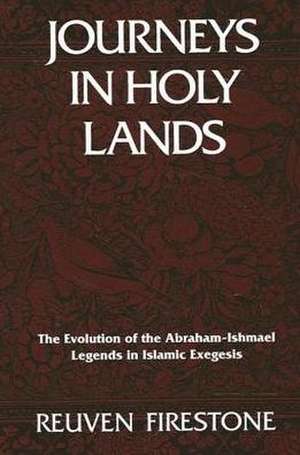 Journeys in Holy Lands de Reuven Firestone