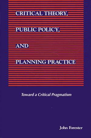 Critical Theory, Public Policy, and Planning Practice