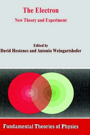 The Electron: New Theory and Experiment de D. Hestenes