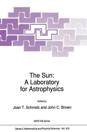 The Sun: A Laboratory for Astrophysics de J.T. Schmelz