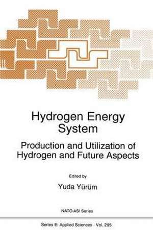 Hydrogen Energy System: Production and Utilization of Hydrogen and Future Aspects de Yuda Yürüm