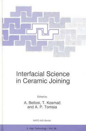 Interfacial Science in Ceramic Joining de Alida Bellosi