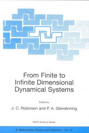 From Finite to Infinite Dimensional Dynamical Systems de James Robinson