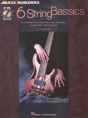 6-String Bassics de David Gross