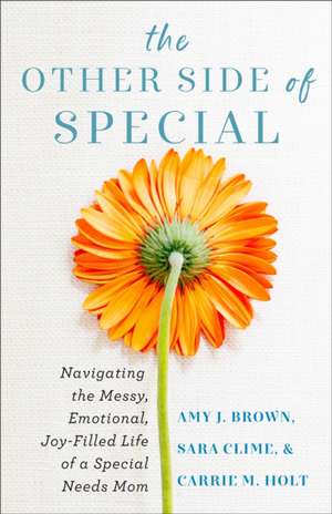 The Other Side of Special – Navigating the Messy, Emotional, Joy–Filled Life of a Special Needs Mom de Amy J Brown