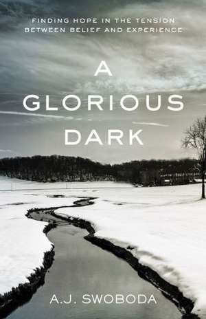 A Glorious Dark: Finding Hope in the Tension Between Belief and Experience de A. J. Swoboda