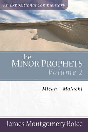 The Minor Prophets – Micah–Malachi de James Montgomer Boice