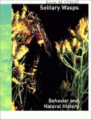 Solitary Wasps – Behavior and Natural History de Kevin M. O`neill